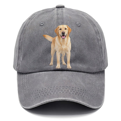 Labrador Retriever Standing Top Breeds Classic Cap – Urban Haze