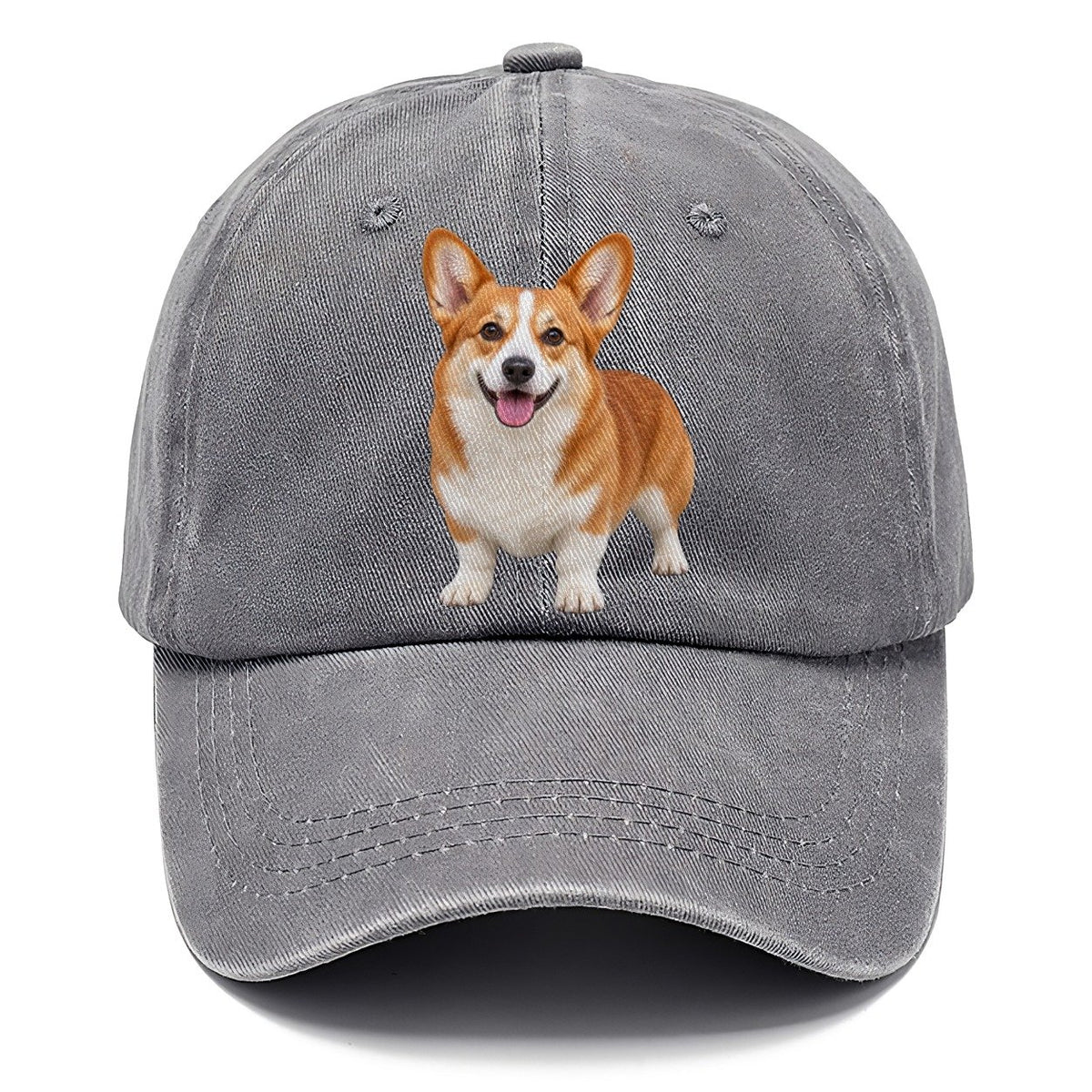 Pembroke Welsh Corgi Standing Front Facing Top Breeds Classic Cap – Urban Haze