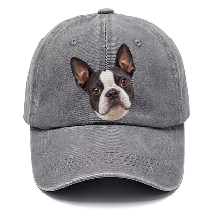 Boston Terrier Curious Lean Everyday Originals Classic Cap – Urban Haze