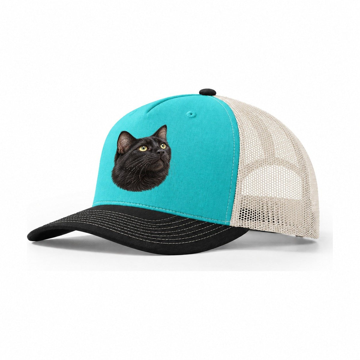Black Cat Upturned Whiskers Pastimes Companions Trucker Hat – Aqua Black White