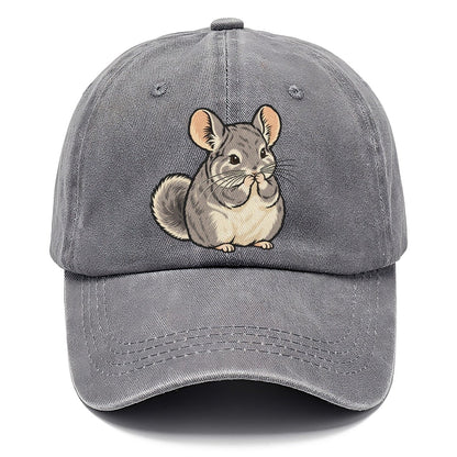 Chinchilla Whisker Wash Small Pet Logos Classic Cap – Urban Haze