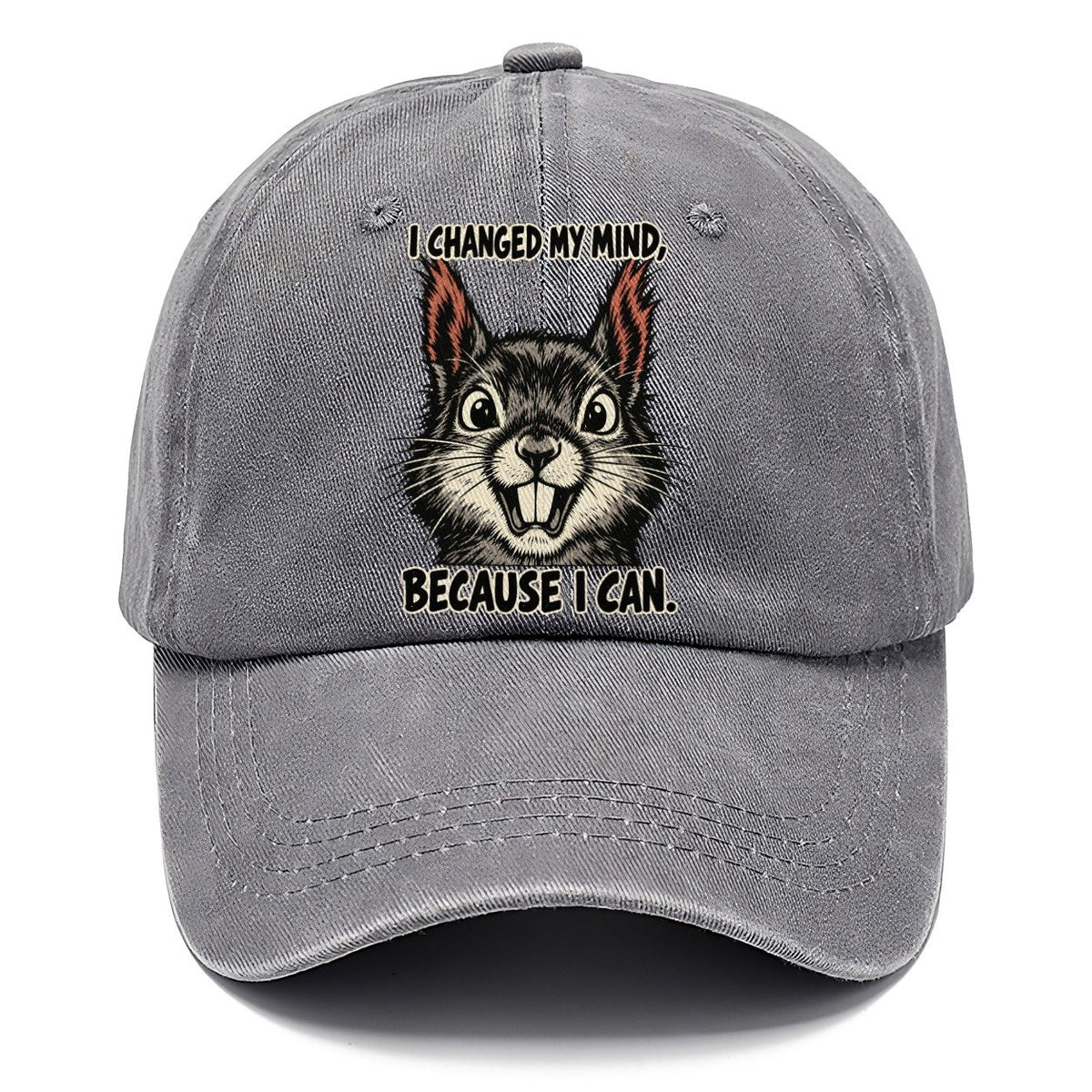 I Changed My Mind Feral Logic Classic Cap – Urban Haze
