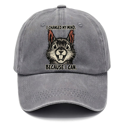 I Changed My Mind Feral Logic Classic Cap – Urban Haze