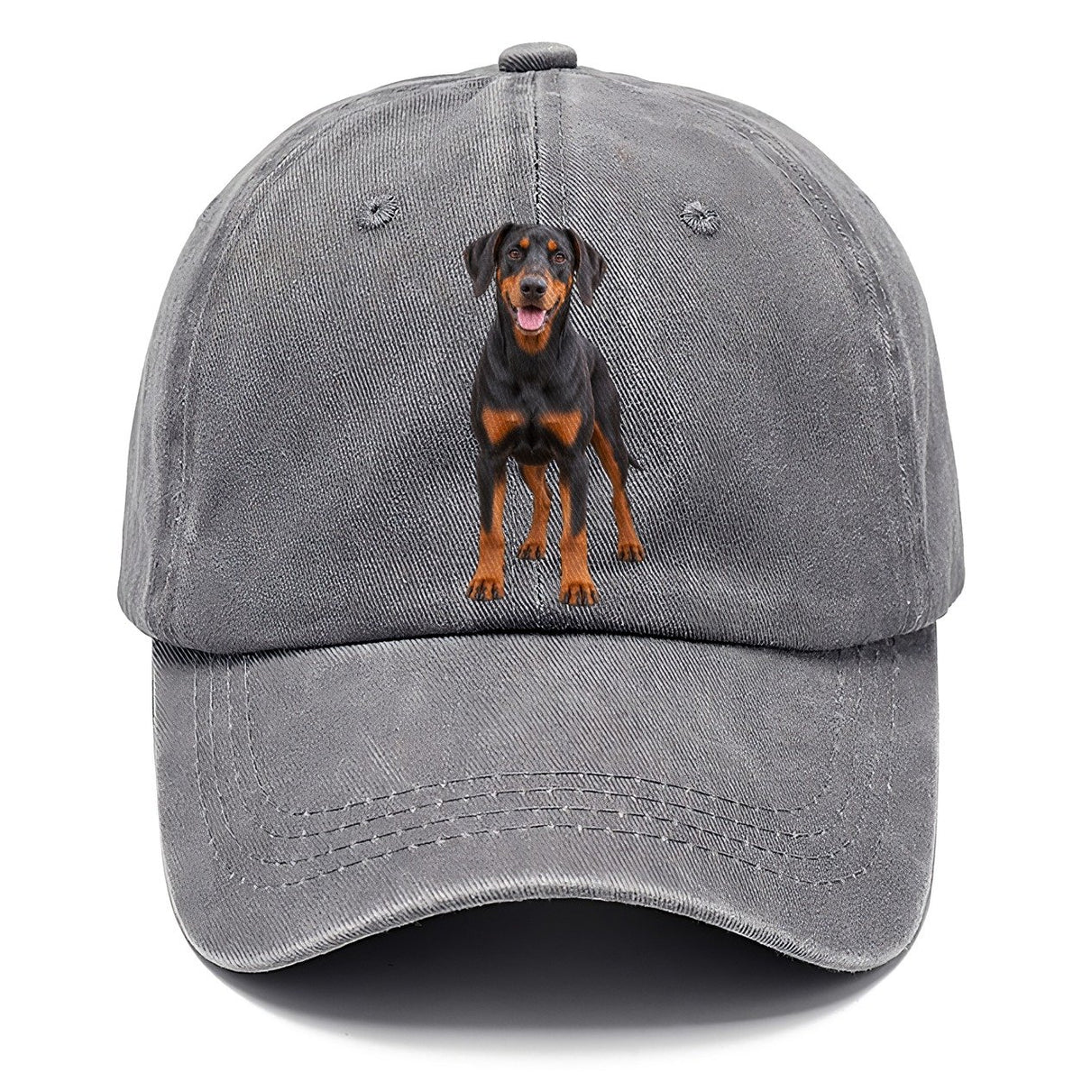 Doberman Pinscher Standing Front Facing Top Breeds Classic Cap – Urban Haze