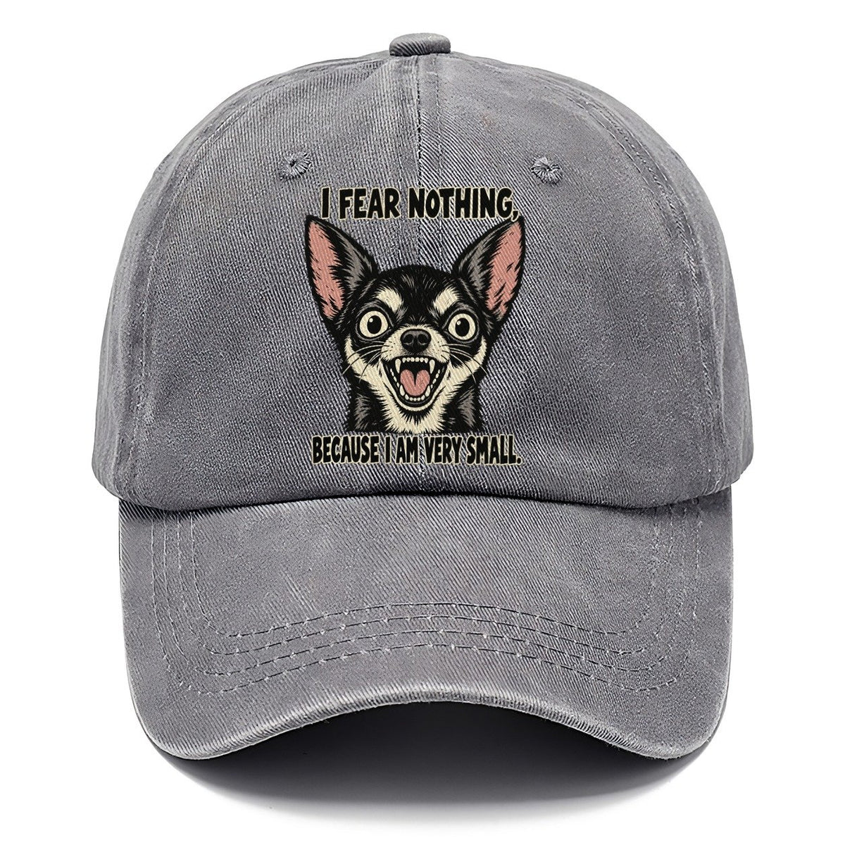 I Fear Nothing Feral Logic Classic Cap – Urban Haze