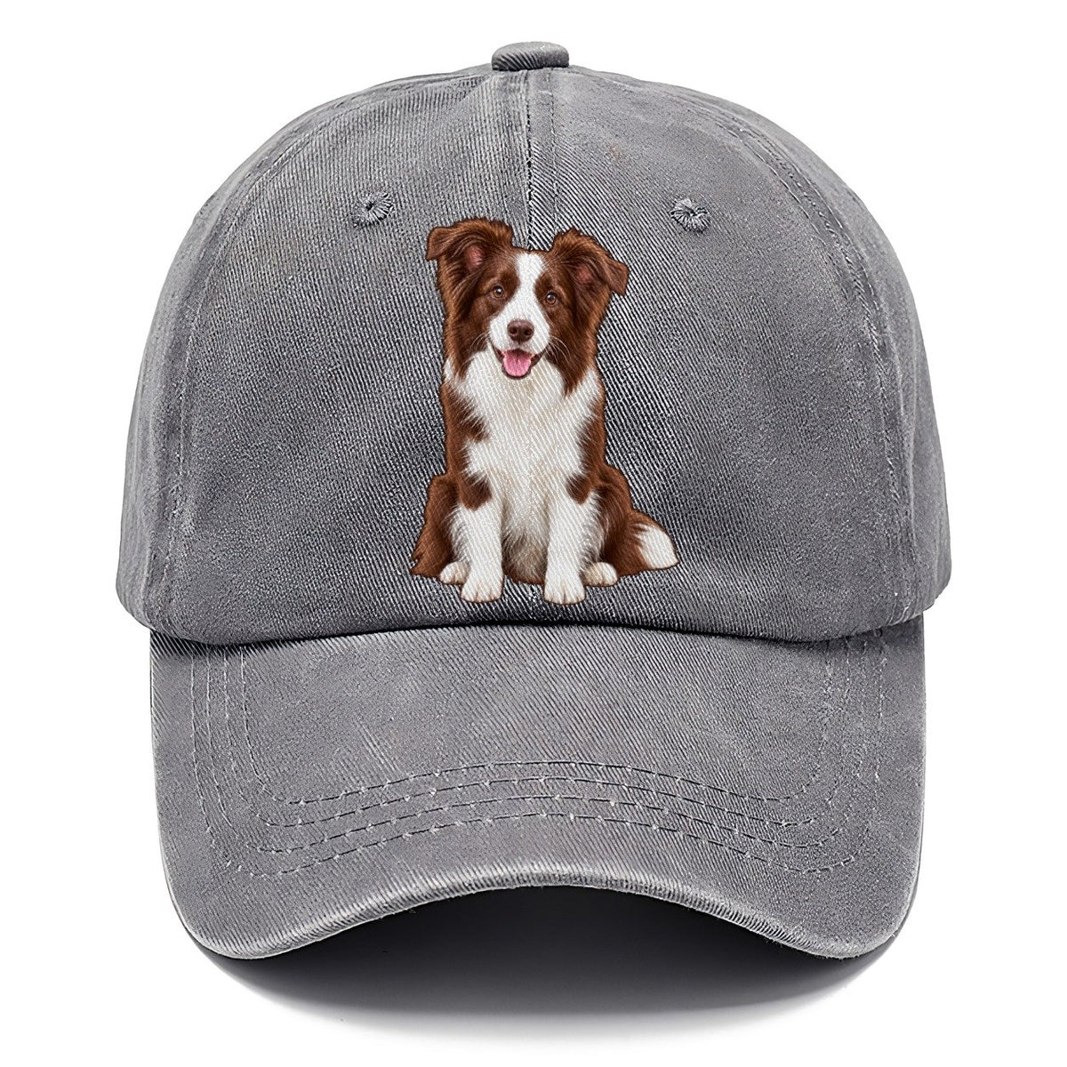 Brown And White Border Collie Classic Cap – Urban Haze