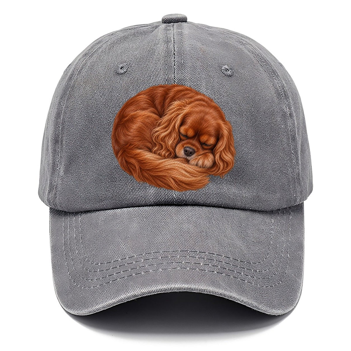 Cavalier Ruby Crescent Nap Pastimes Companions Classic Cap – Urban Haze