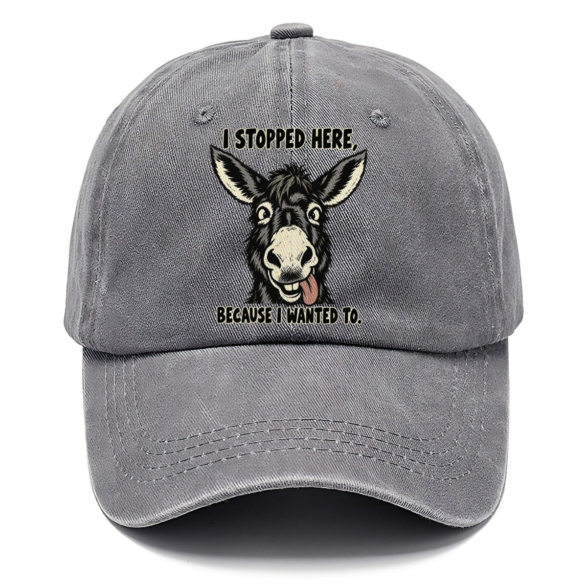 I Stopped Here Feral Logic Classic Cap – Urban Haze