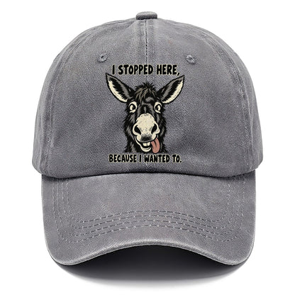 I Stopped Here Feral Logic Classic Cap – Urban Haze