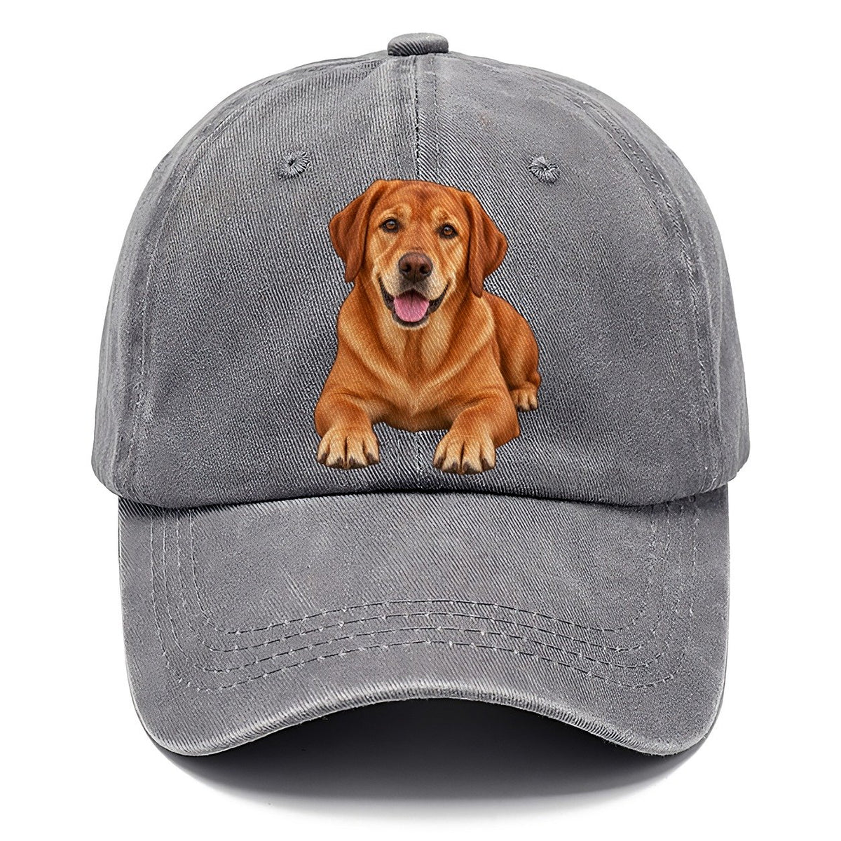 Fox Red Labrador Classic Cap – Urban Haze