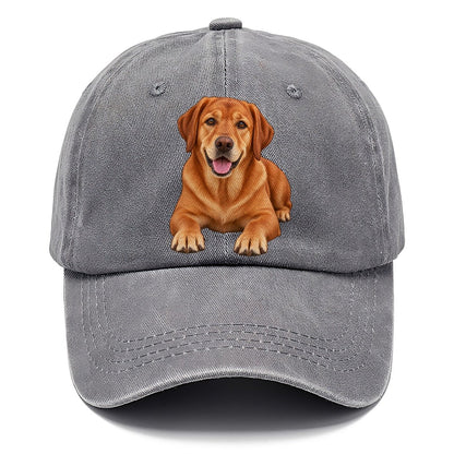 Fox Red Labrador Classic Cap – Urban Haze