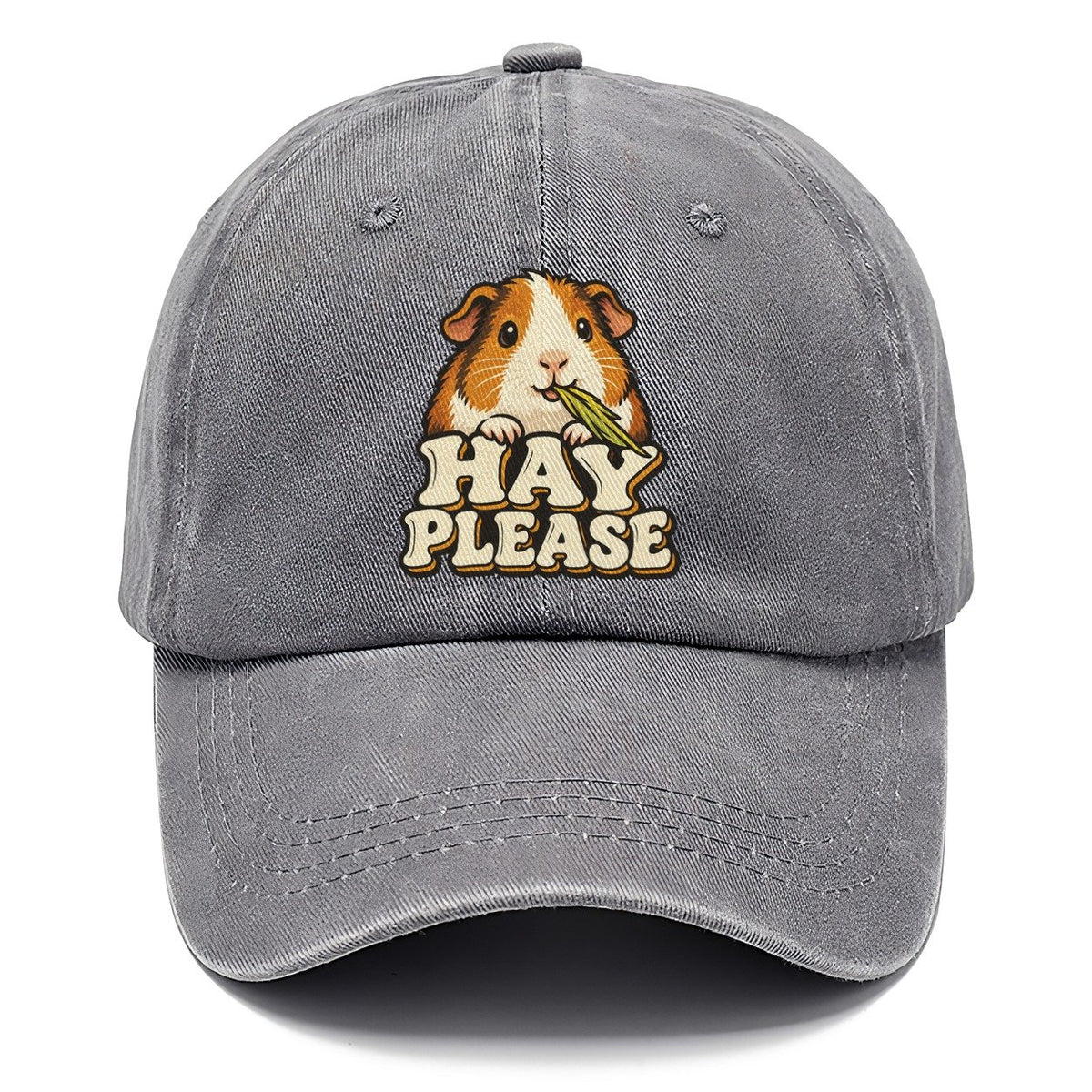 Hay Please Small Pet Logos Classic Cap – Urban Haze