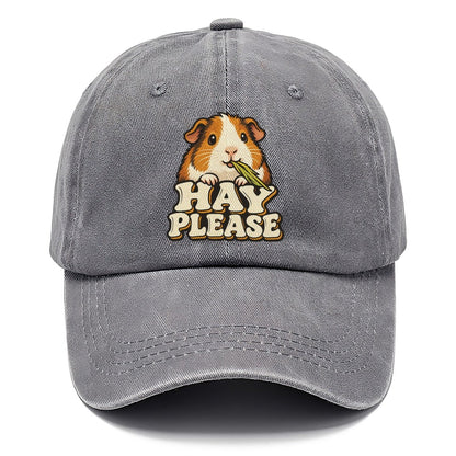Hay Please Small Pet Logos Classic Cap – Urban Haze