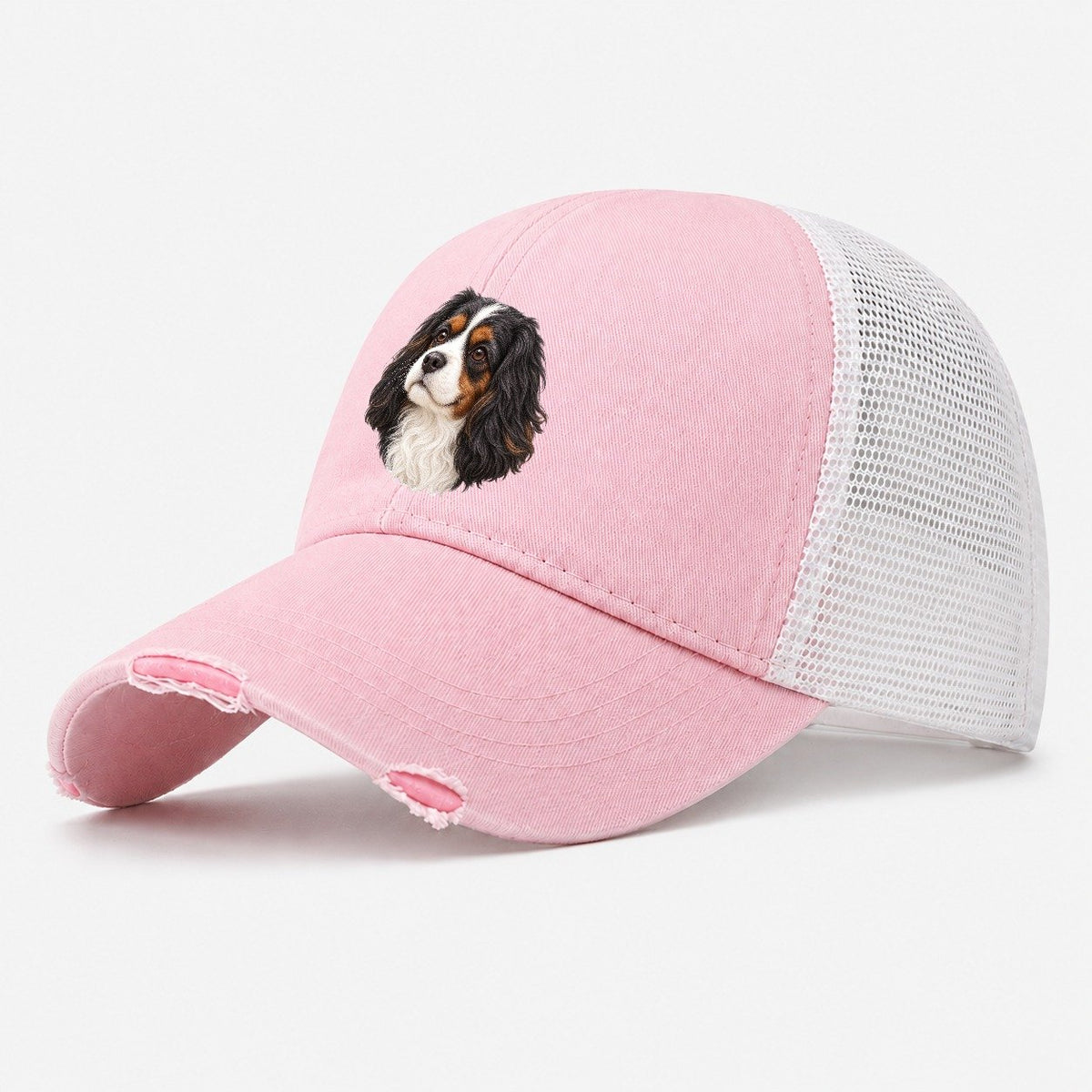 Cavalier Tricolour Smile Pastimes Companions Washed Trucker Hat – Light Pink
