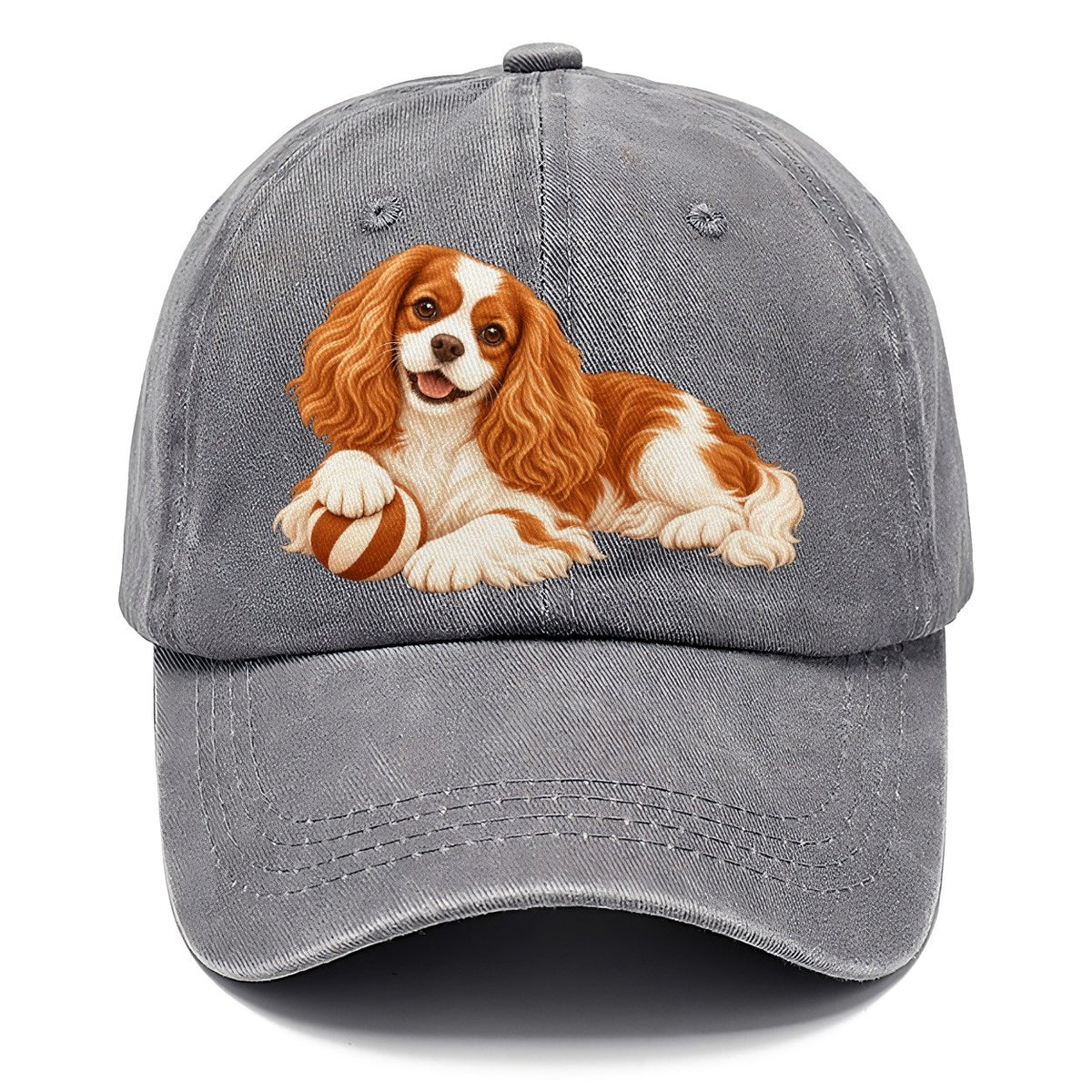 Cavalier King Charles Spaniel Resting Classic Cap – Urban Haze