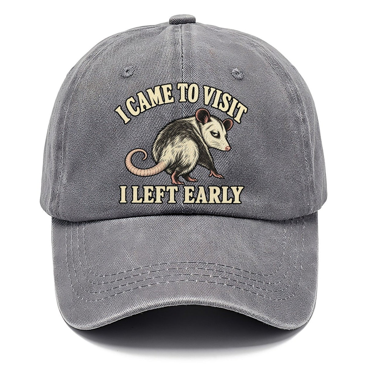 Opossum Quiet Exit Everyday Originals Classic Cap – Urban Haze