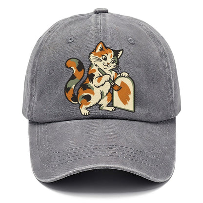 Calico Cat Painter Sundown Familiars Classic Cap – Urban Haze