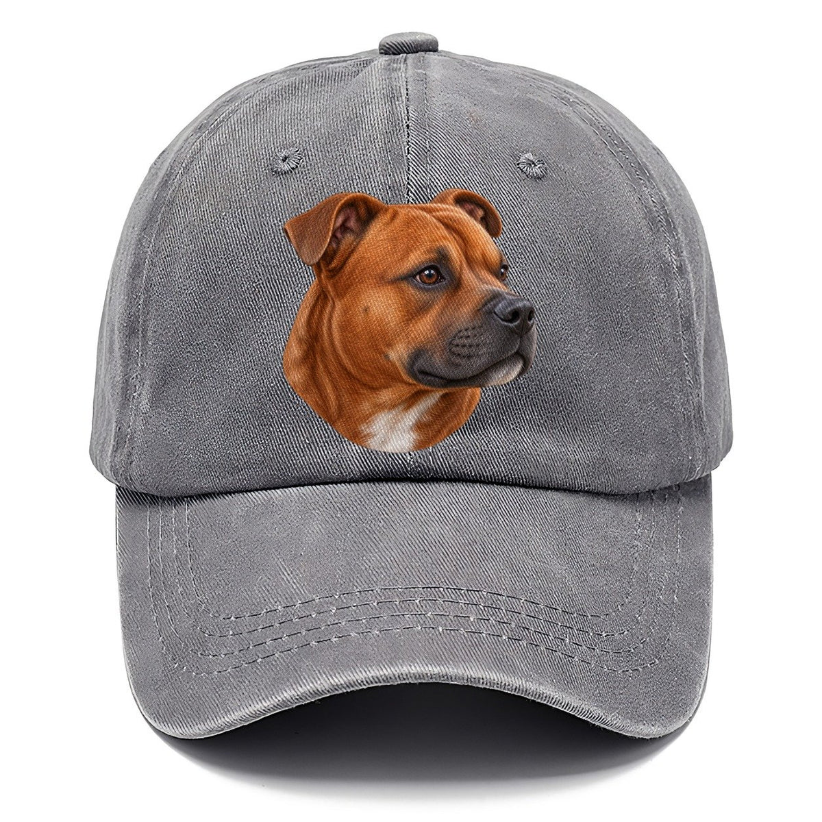 Staffy Red Velvet Profile Pastimes Companions Classic Cap – Urban Haze