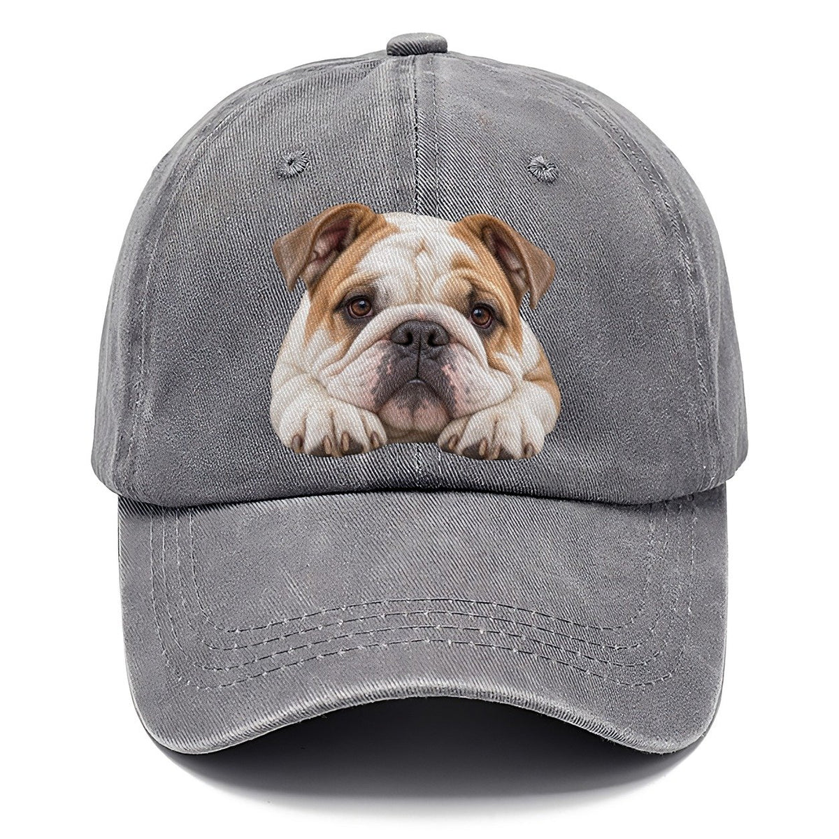 Bulldog Paw Pillow Character Club Classic Cap – Urban Haze