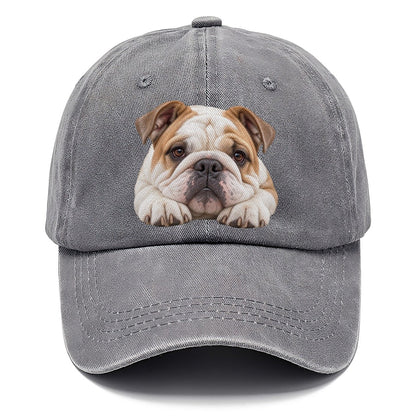 Bulldog Paw Pillow Character Club Classic Cap – Urban Haze