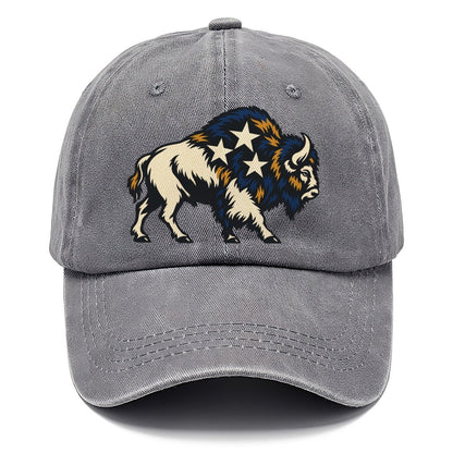Bison Night Sky Sundown Familiars Classic Cap – Urban Haze