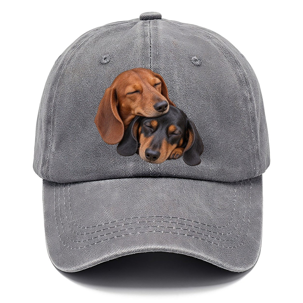 Dachshund Sleeping Pair Character Club Classic Cap – Urban Haze
