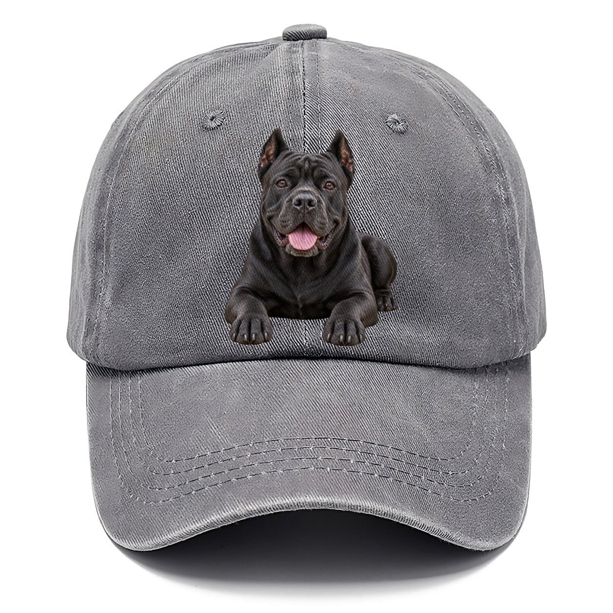 Cane Corso Lying Down Top Breeds Classic Cap – Urban Haze