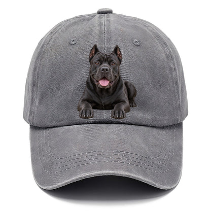 Cane Corso Lying Down Top Breeds Classic Cap – Urban Haze
