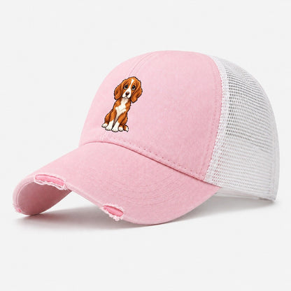 Nova Scotia Duck Tolling Retriever Sitting Sweetheart Washed Trucker Hat – Light Pink
