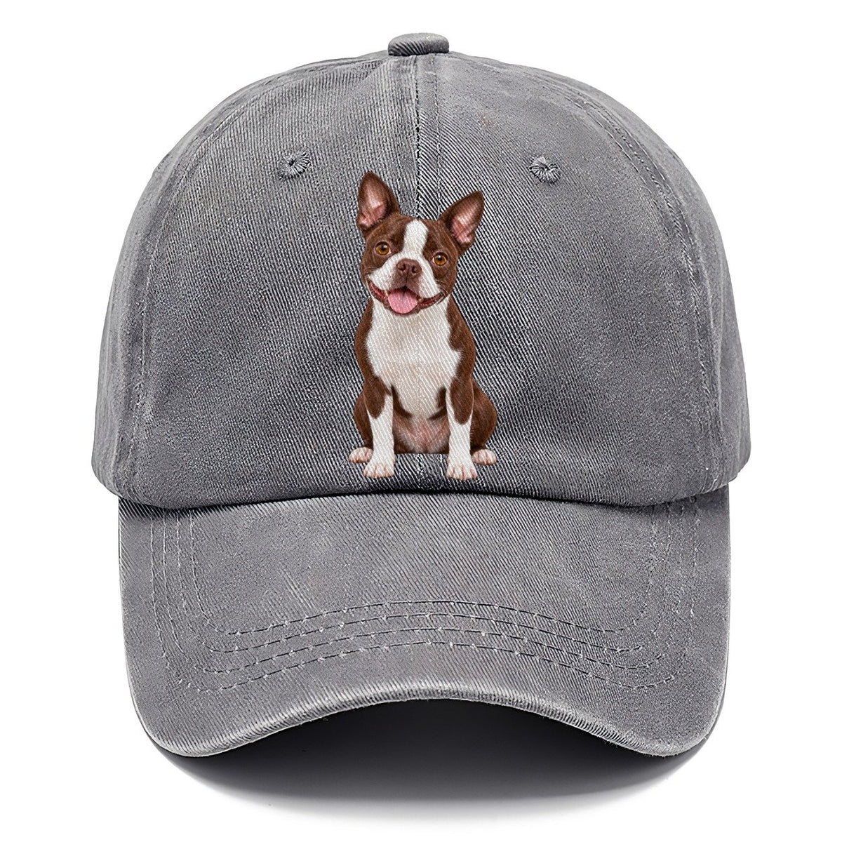 Brown Boston Terrier Classic Cap – Urban Haze