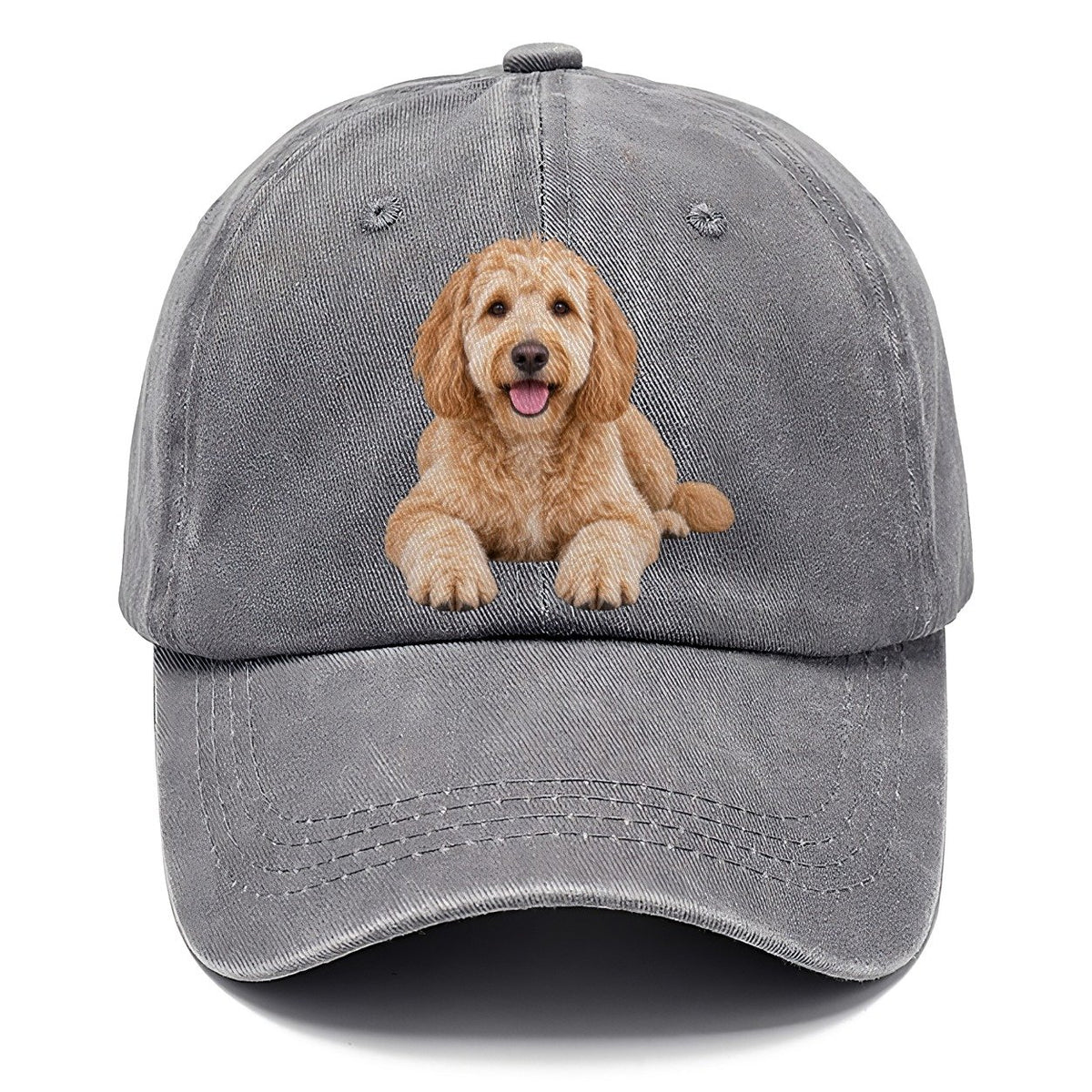Goldendoodle Lying Down Top Breeds Classic Cap – Urban Haze