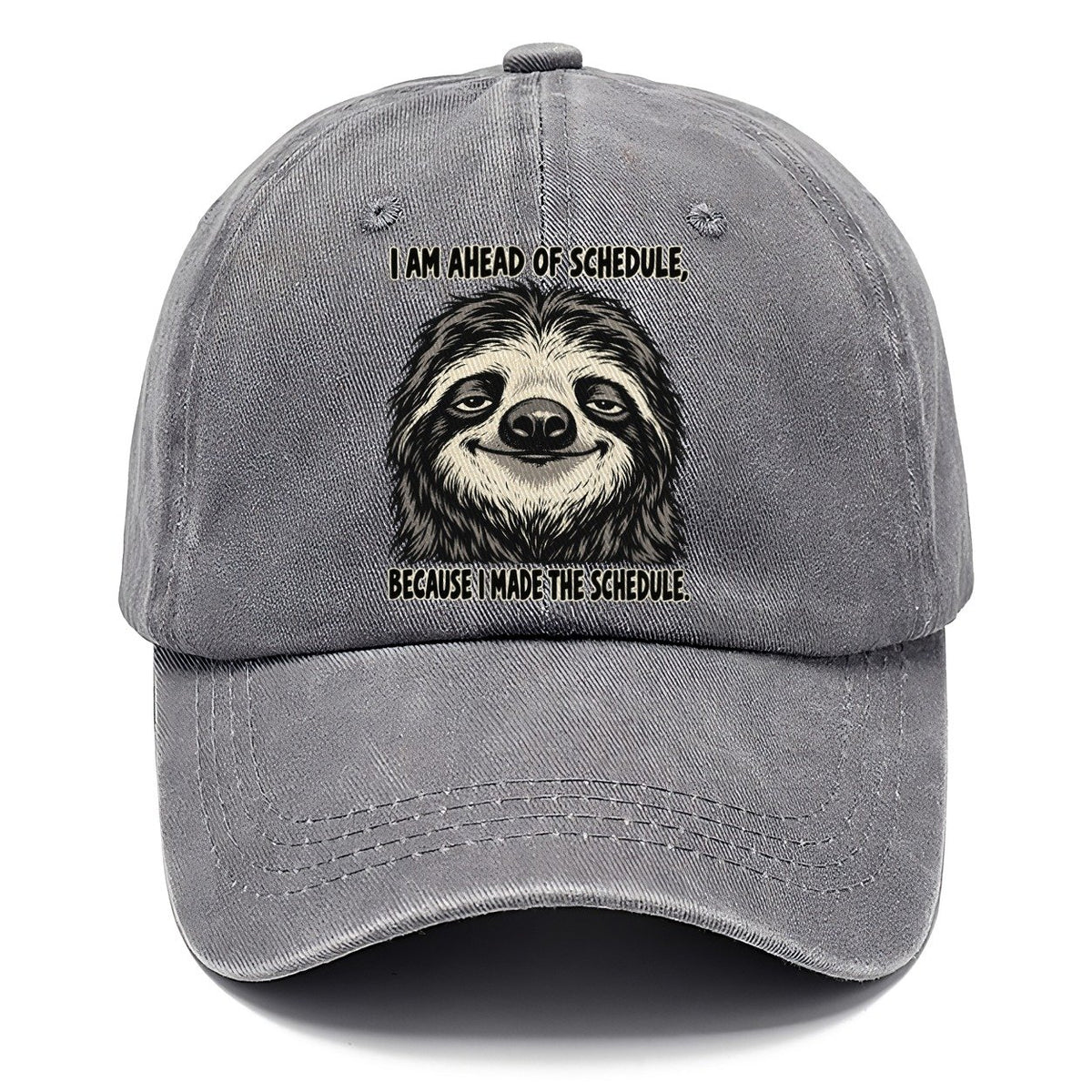 I Am Ahead Of Schedule Feral Logic Classic Cap – Urban Haze
