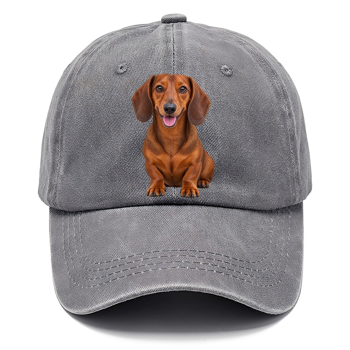 Dachshund Sitting Top Breeds Classic Cap – Urban Haze