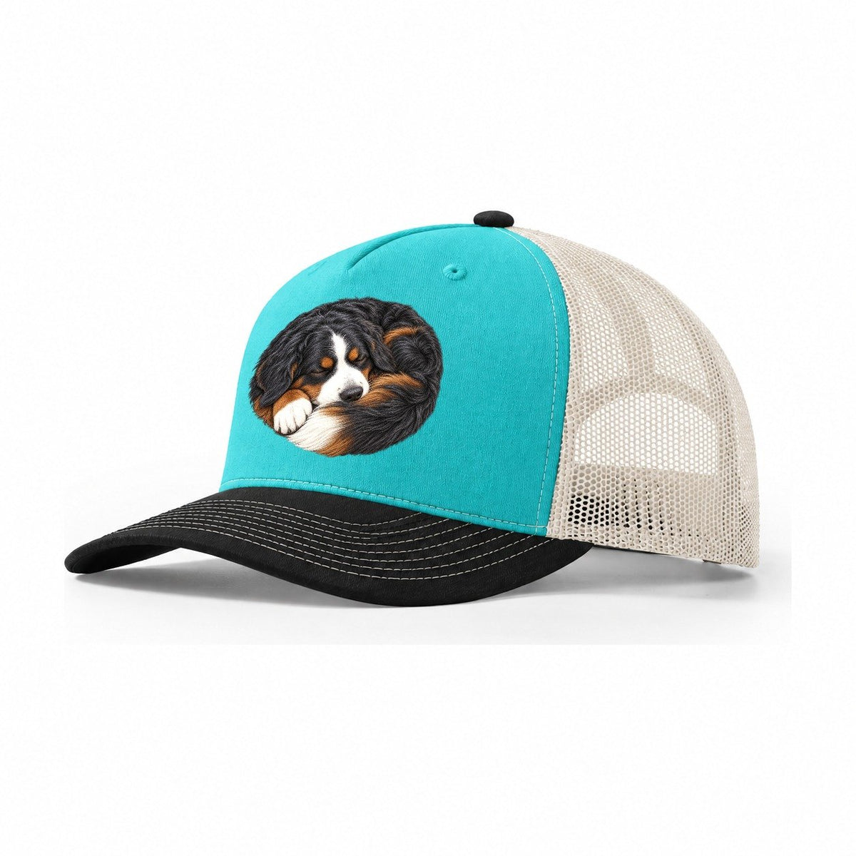 Bernese Round Hearth Nap Pastimes Companions Trucker Hat – Aqua Black White