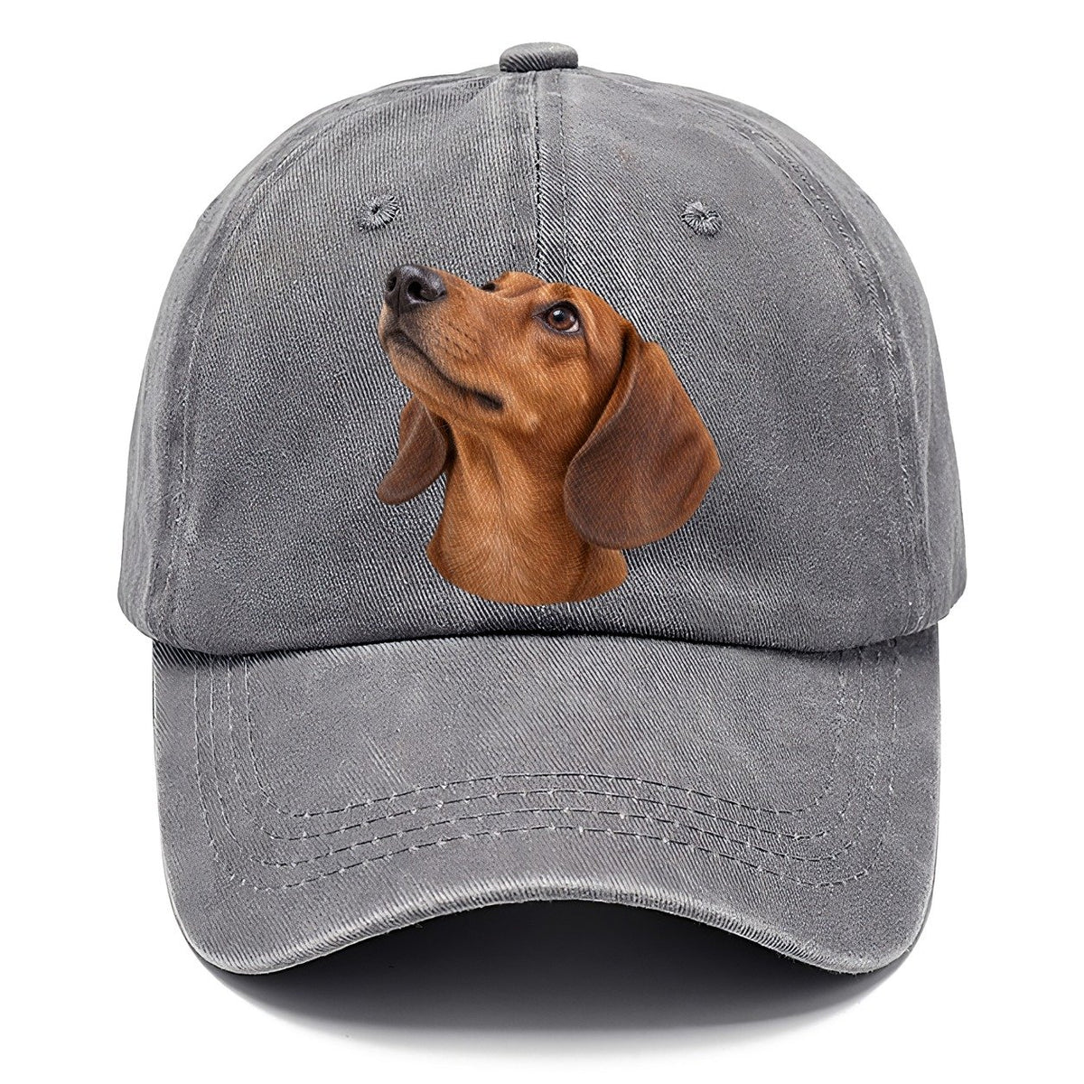 Dachshund Upturned Nose Character Club Classic Cap – Urban Haze