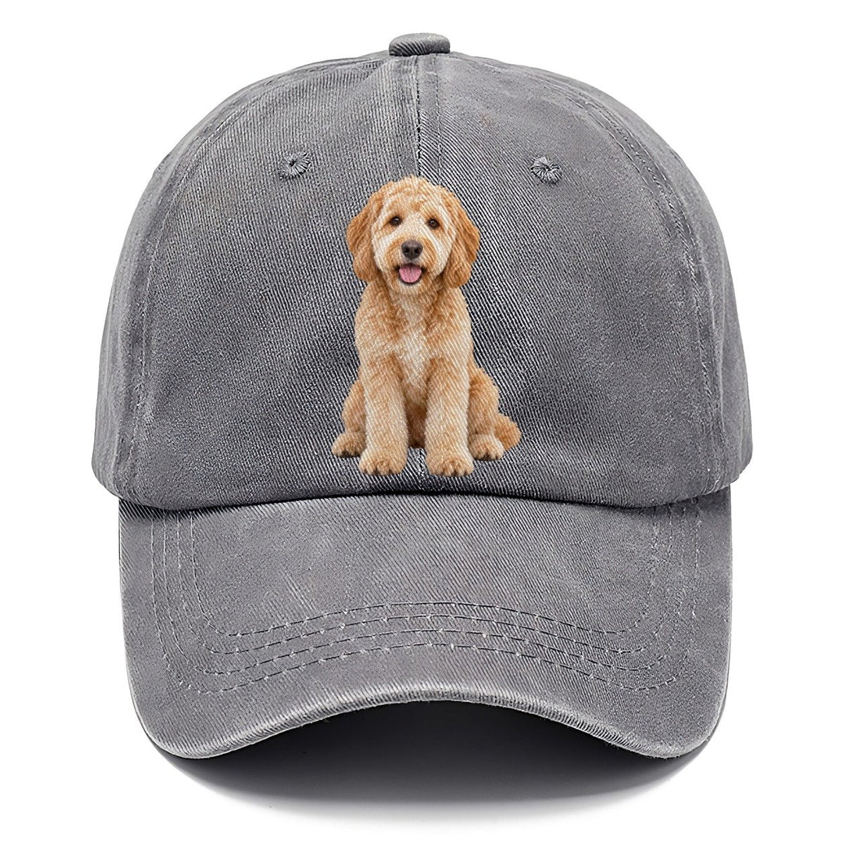 Goldendoodle Sitting Top Breeds Classic Cap – Urban Haze