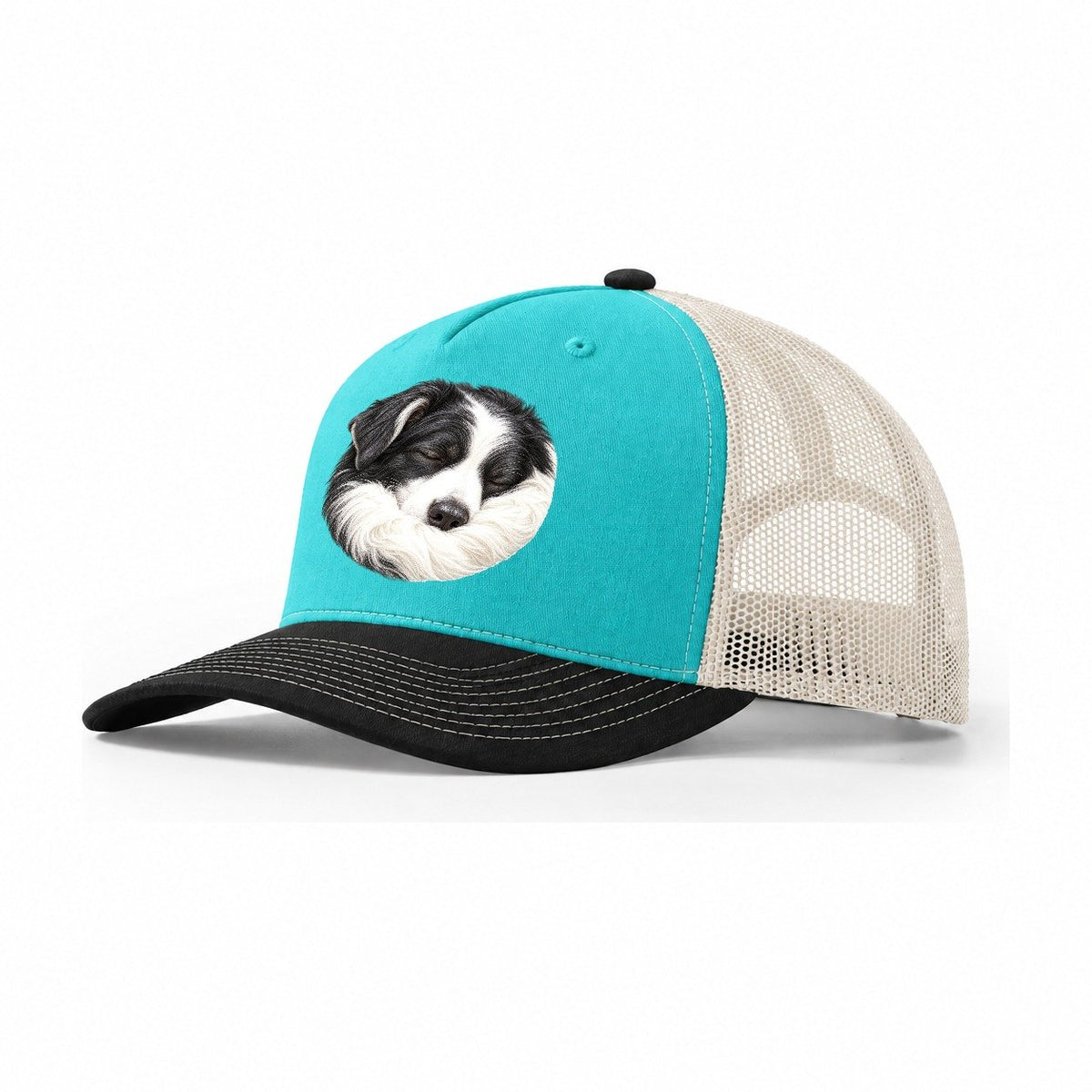 Border Collie Ruff Tuck Pastimes Companions Trucker Hat – Aqua Black White