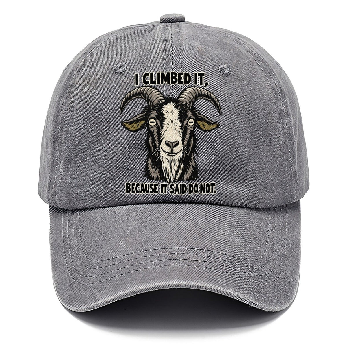 I Climbed It Feral Logic Classic Cap – Urban Haze
