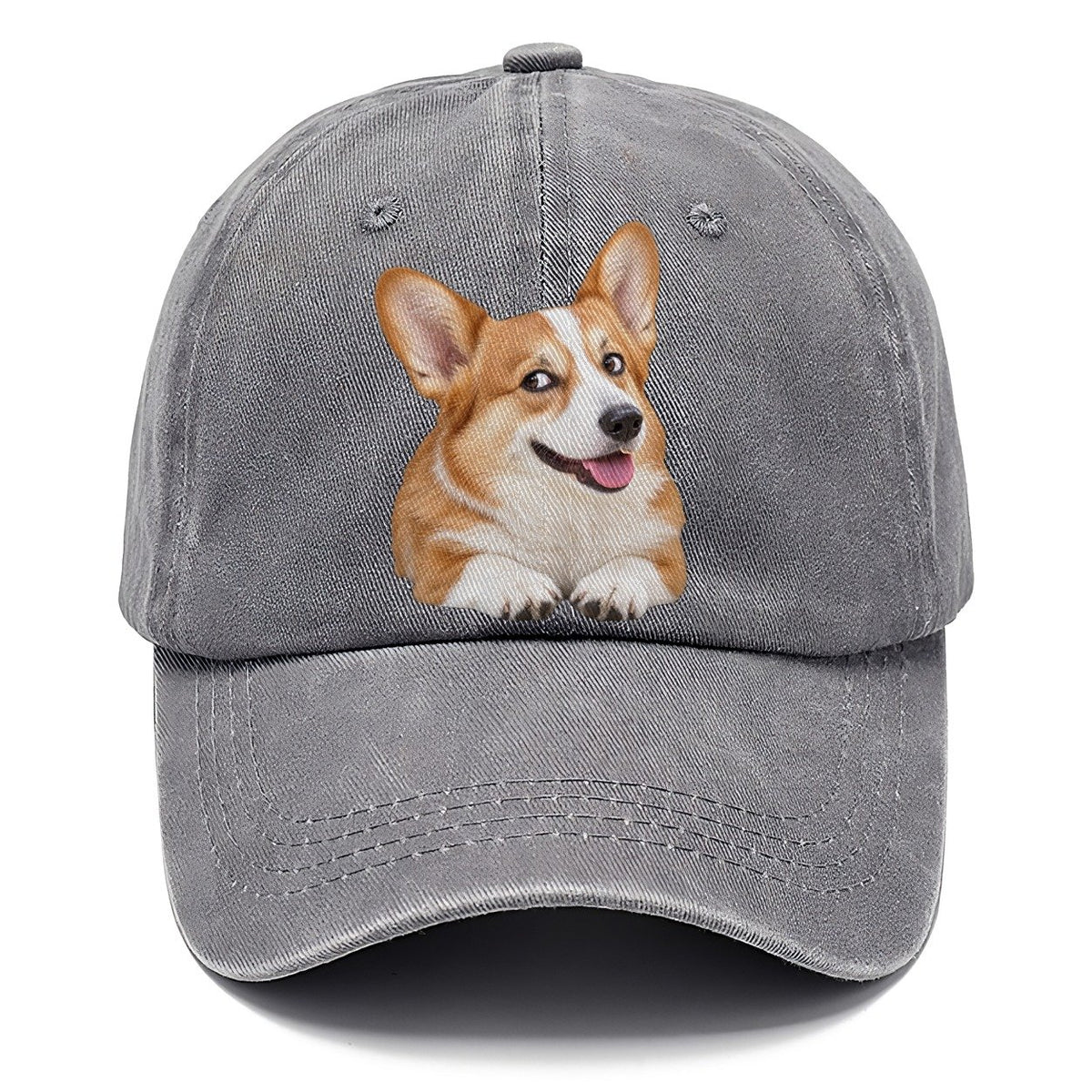 Corgi Side Eye Portrait Everyday Originals Classic Cap – Urban Haze