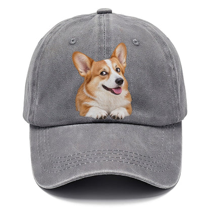 Corgi Side Eye Portrait Everyday Originals Classic Cap – Urban Haze