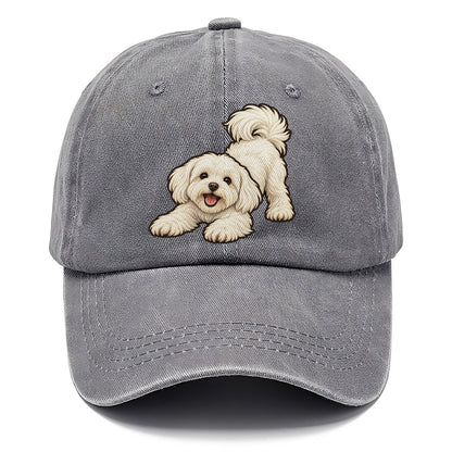 Maltese Play Bow Fan Favorites Classic Cap – Urban Haze