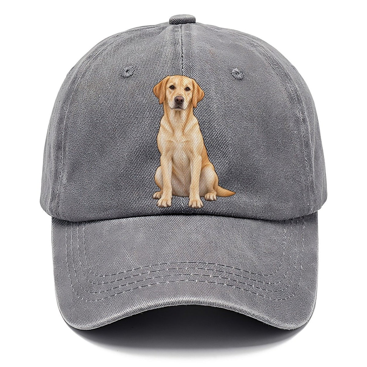 American Yellow Labrador Classic Cap – Urban Haze