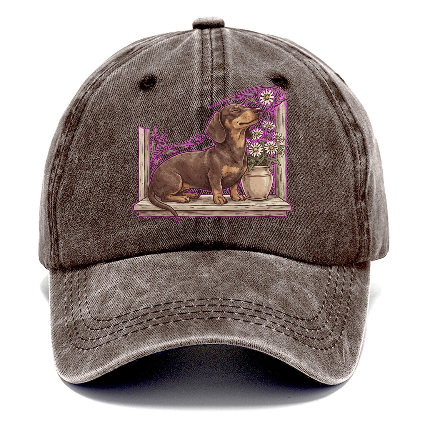 Sun Subscriber Classic Cap – Brown