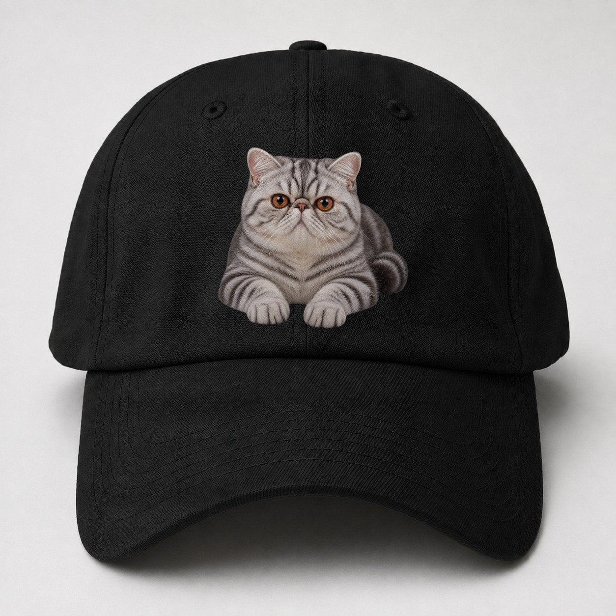 Exotic Shorthair Reclining Paws Forward Realistic Cat Portrait Baseball Cap – Black