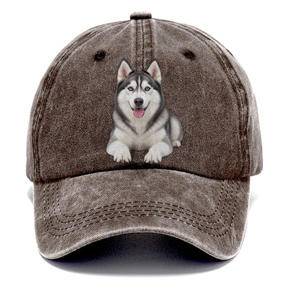 Siberian Husky Sitting Top Breeds Classic Cap – Brown
