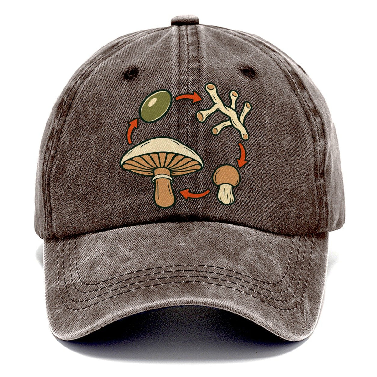 Fruiting Cycle Ring Foraging And Mycology Classic Cap – Brown