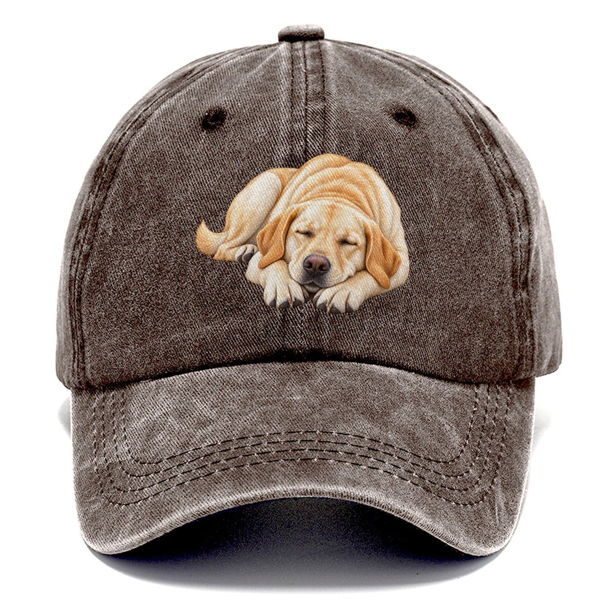Abstract Labrador Play Bow Classic Cap – Brown