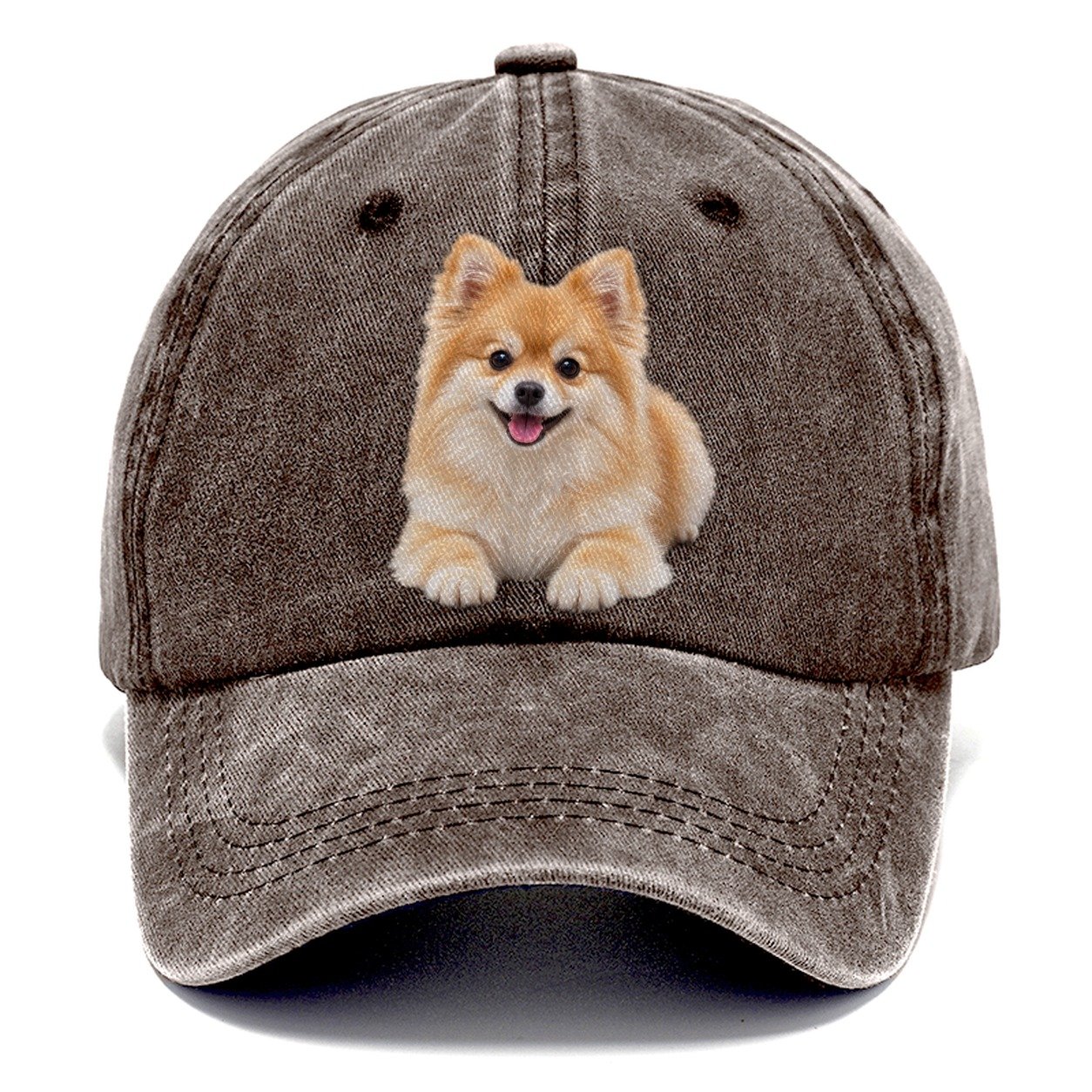 Pomeranian Lying Down Top Breeds Classic Cap – Brown