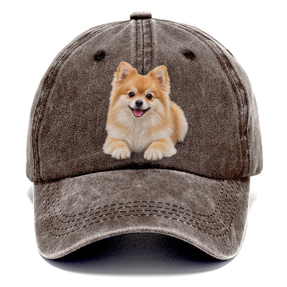 Pomeranian Lying Down Top Breeds Classic Cap – Brown