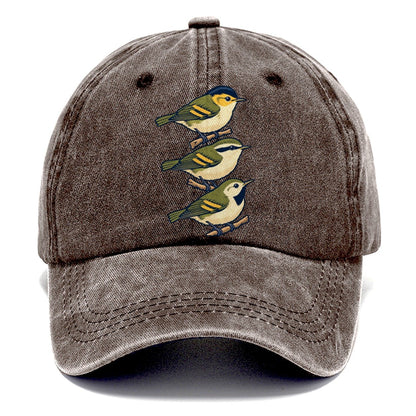Woodland Warbler Set Birdwatching Classic Cap – Brown